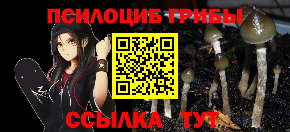 Псилоцибиновые грибы GOLDEN TEACHER Менделеевск